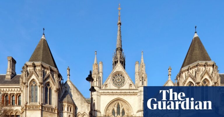 Court of appeal says it cannot rule on which identical twin fathered a child | Children Court of appeal says it cannot rule on which identical twin fathered a child | Children