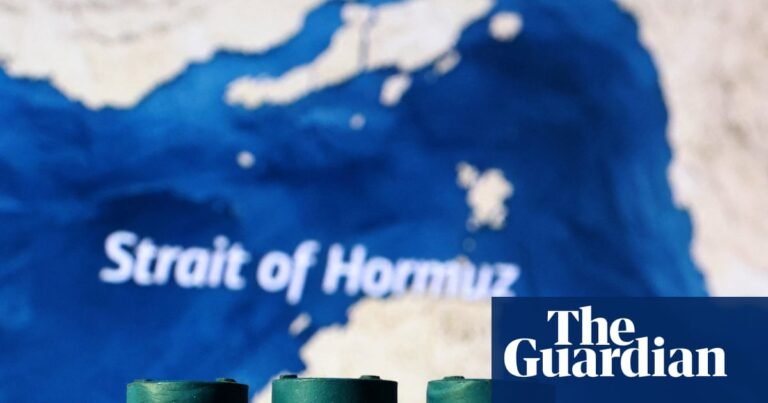 Europe could face fuel shortage by April as Iran throttles supplies, says Shell boss | Energy industry