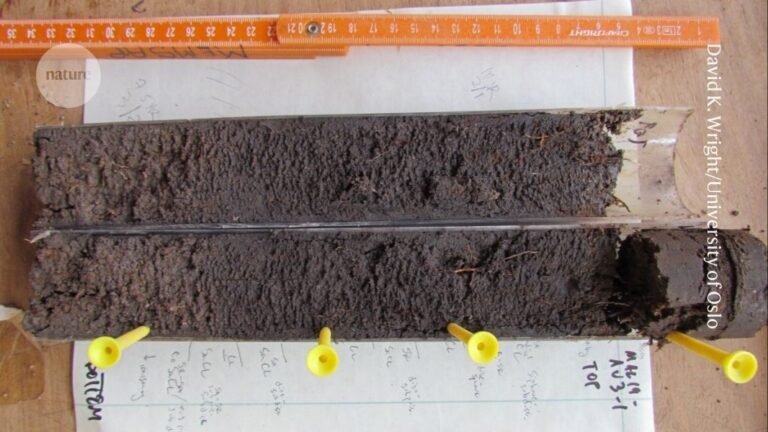 How pollutants and poo paint a picture of past civilizations