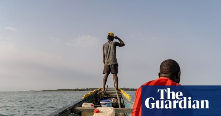 How the ‘Galápagos of west Africa’ is plundered by floating fish factories | Guinea-Bissau How the ‘Galápagos of west Africa’ is plundered by floating fish factories | Guinea-Bissau