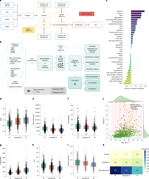 Insulin resistance prediction from wearables and routine blood biomarkers Insulin resistance prediction from wearables and routine blood biomarkers