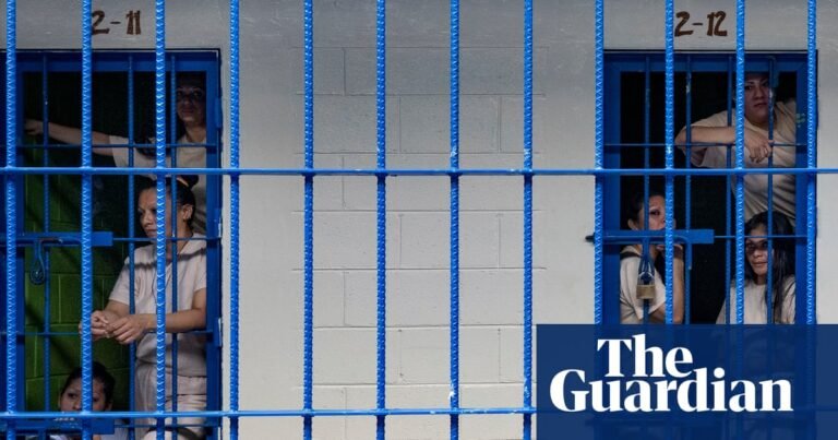 Jailed for losing a pregnancy: how progress on El Salvador’s harsh anti-abortion law is unravelling | Global development