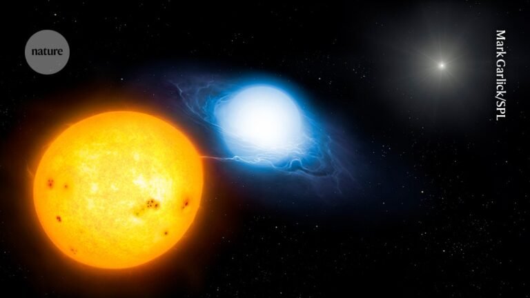 Jam-packed star system is most compact of its kind ever found Jam-packed star system is most compact of its kind ever found