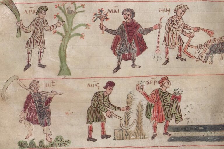 Medieval Farms Were a Boon for Biodiversity, Research Finds Medieval Farms Were a Boon for Biodiversity, Research Finds