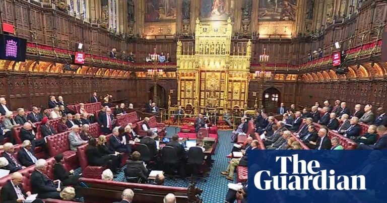 Proposed law does not protect children born to convicted paedophiles, Lords to hear | Child protection Proposed law does not protect children born to convicted paedophiles, Lords to hear | Child protection