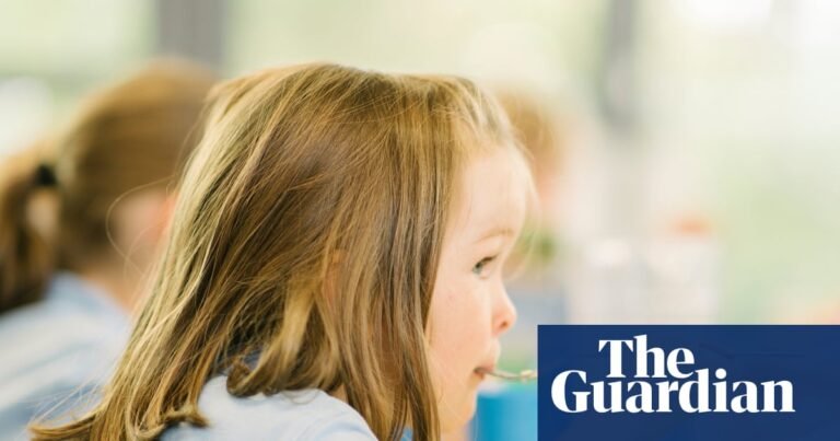 Schools in England must be compelled to offer pupils healthy food, not junk | School meals Schools in England must be compelled to offer pupils healthy food, not junk | School meals