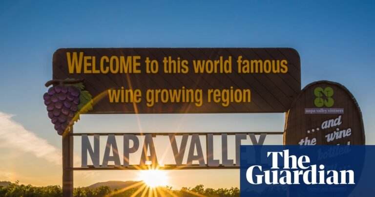 Shifting tastes, shrinking sales: Napa Valley’s wineries adapt amid ‘shocking’ downturn | California
