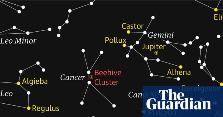 Starwatch: patience is needed to observe Cancer’s beehive cluster | Astronomy
