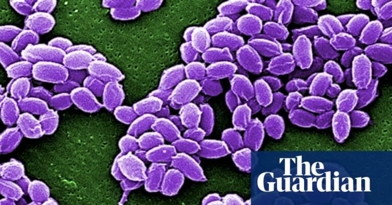 Taxonomy isn’t sexy science, but it deserves wider appreciation | Taxonomy Taxonomy isn’t sexy science, but it deserves wider appreciation | Taxonomy