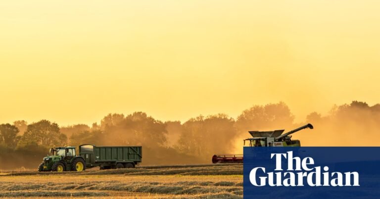 UK must stockpile food in readiness for climate shocks or war, expert warns | Food security