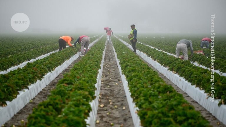 US climate actions must continue, despite setbacks US climate actions must continue, despite setbacks