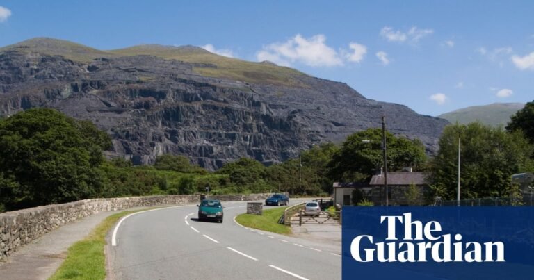 Welsh ‘revolution’ required to hit target of 1m speakers by 2050, says report | Wales