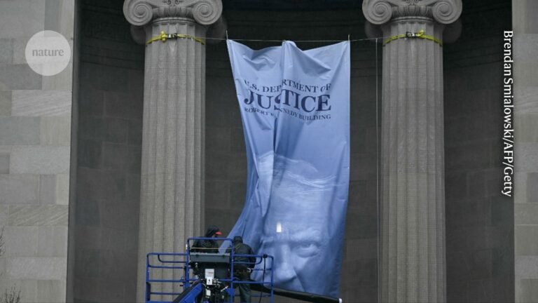 lessons from the Epstein case