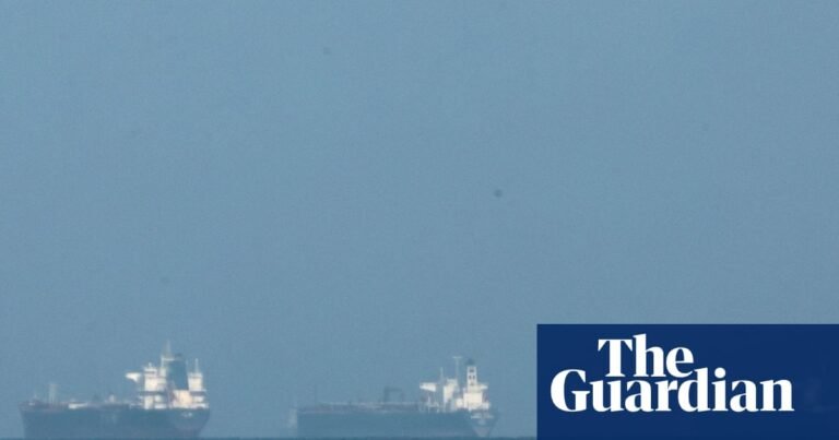 ‘A big burden for farmers’: Gulf shipping crisis threatens food price shock | Supply chain crisis