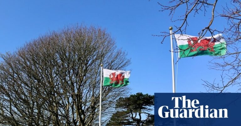 ‘A fire that’s burning again’: Welsh language resurges thanks to adult learners | Wales