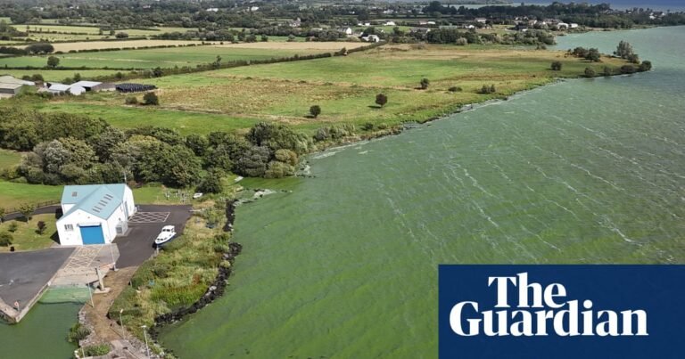 ‘Drinking from a fetid pond’: superbug-creating genes found in UK’s largest lake | Water
