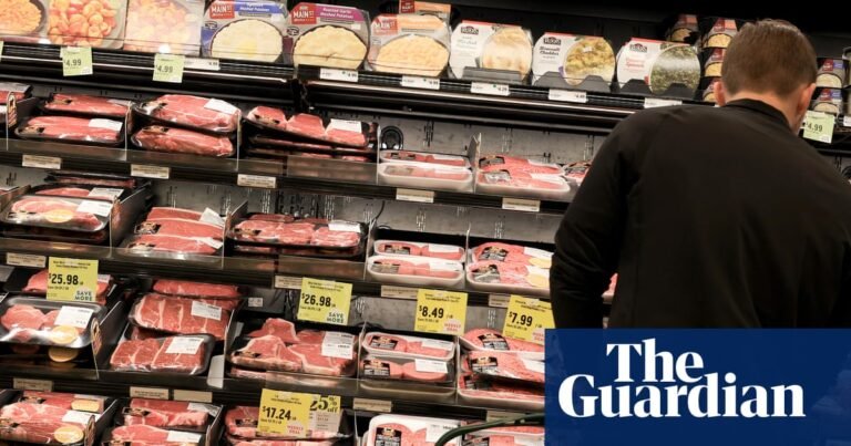 ‘Everything is going up’: Americans struggle with affordability despite Trump’s claims | Business