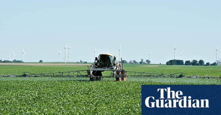 ‘It’s not sustainable’: US farmers reeling as Iran war pushes fertilizer costs up | US news