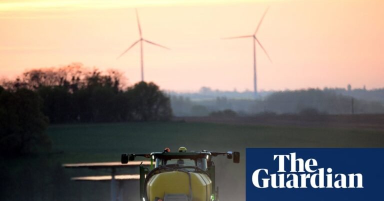 Campaigners demand action to break UK’s ‘addiction’ to herbicides | Herbicides Campaigners demand action to break UK’s ‘addiction’ to herbicides | Herbicides