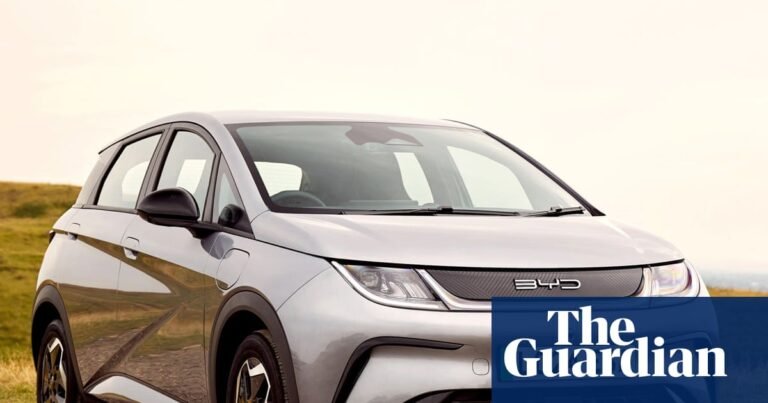 EU faces ‘China shock’ as EV imports drive Beijing’s record surplus with bloc | European Union