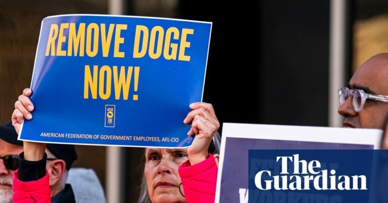 Federal workers struggle to find roles a year after Trump cuts: ‘I’ve applied to over 250 jobs’ | Business Federal workers struggle to find roles a year after Trump cuts: ‘I’ve applied to over 250 jobs’ | Business