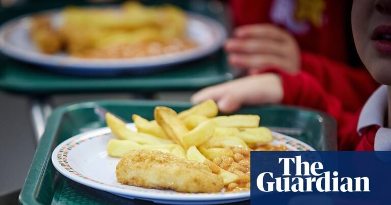 Fried nuggets and steamed sponges off menu in school food overhaul in England | School meals Fried nuggets and steamed sponges off menu in school food overhaul in England | School meals