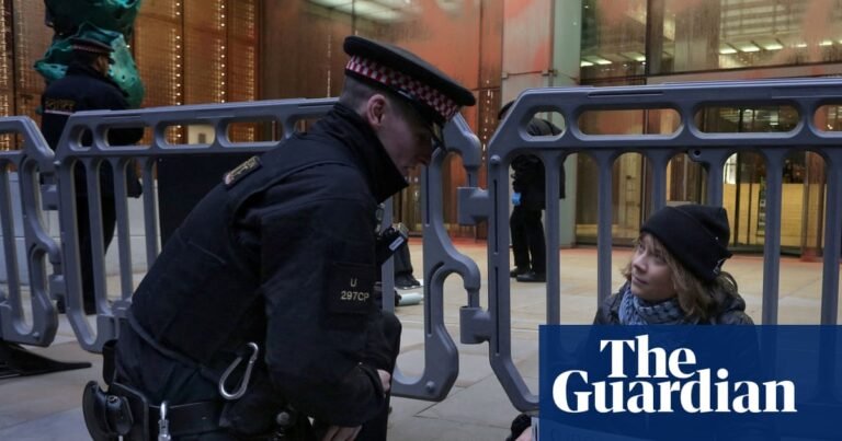 Greta Thunberg, Sally Rooney and Brian Eno defy Palestine Action ban in letter to judges | Palestine Action