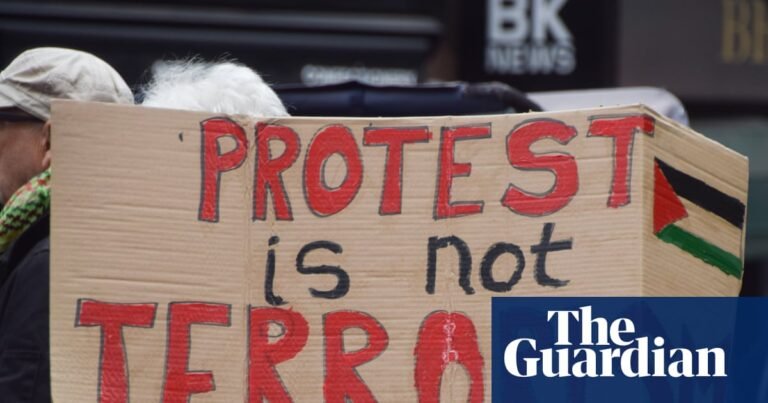 Palestine Action ban created ‘culture of fear’, UK appeal court hears | Palestine Action