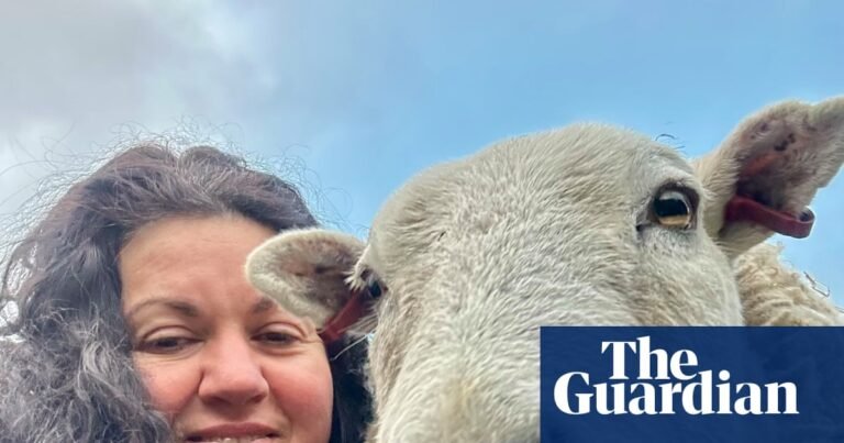 The pet I’ll never forget: Merlin the therapy sheep | Animals