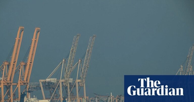 UAE quits Opec in win for Trump as oil cartel weakened | Opec