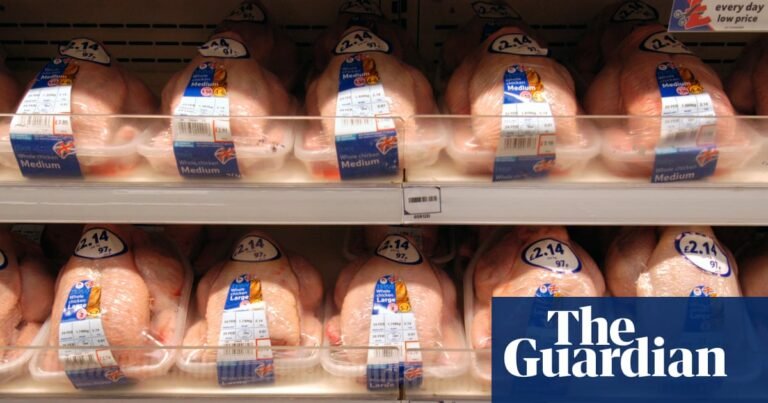 UK could face gaps on supermarket shelves by summer if Iran war continues | Economics