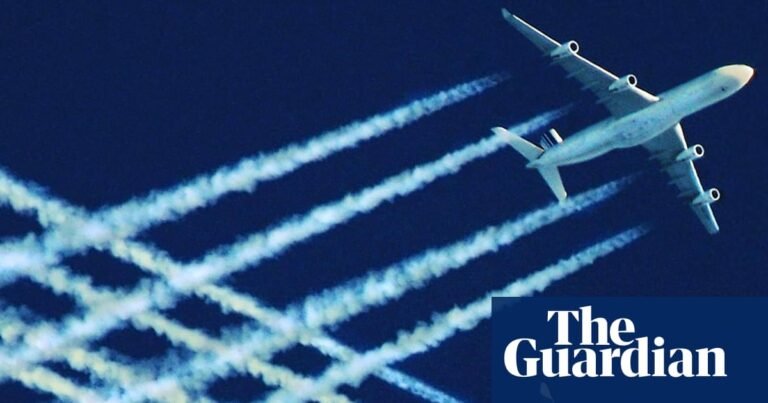 Airline emissions in Europe top pre-Covid levels despite pledge to decarbonise | Airline emissions Airline emissions in Europe top pre-Covid levels despite pledge to decarbonise | Airline emissions