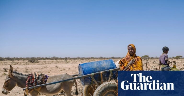 Children should be at the forefront of our response to the climate crisis | Climate crisis