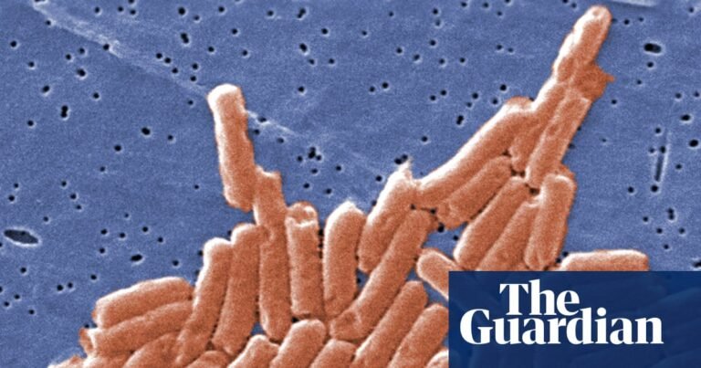 Climate crisis is accelerating antibiotic resistance across world, study says | Antibiotics Climate crisis is accelerating antibiotic resistance across world, study says | Antibiotics