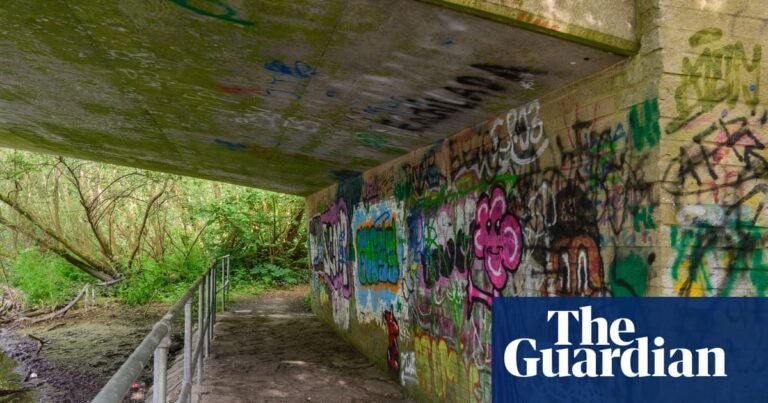 Decision not to jail three UK boys for rape is ‘unusual’ and could be reviewed, says ex-attorney general | UK criminal justice Decision not to jail three UK boys for rape is ‘unusual’ and could be reviewed, says ex-attorney general | UK criminal justice