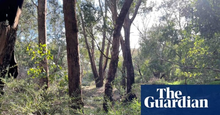 Developer withdraws plans for Perth datacentre after fierce community opposition | Technology