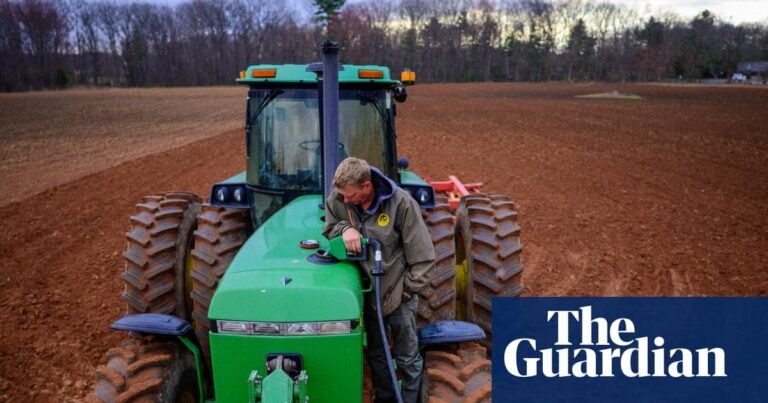 Diesel prices squeeze US farmers ‘barely getting by’ amid tariffs and drought | Farming