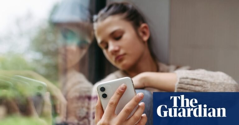 Domestic abuse law fails to recognise danger of tech abuse, Lords committee told | Online abuse