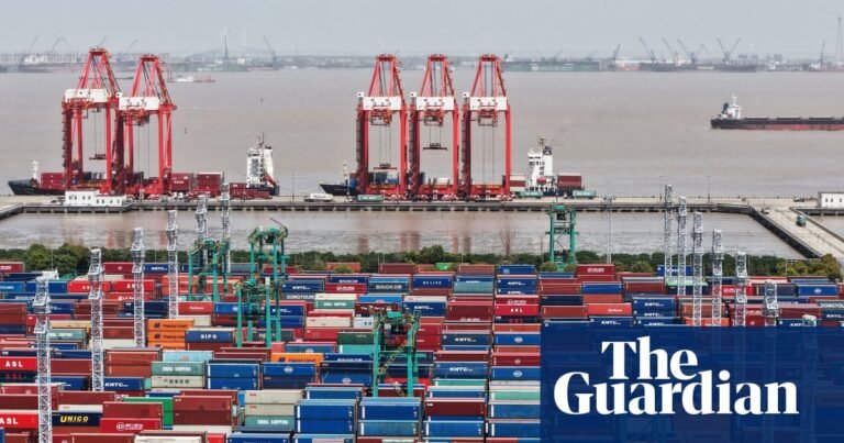 Fears of new China shock as EU industry’s reliance on imports grows | International trade Fears of new China shock as EU industry’s reliance on imports grows | International trade