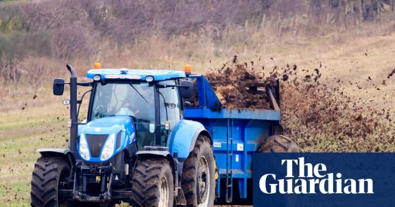 Fertiliser shortages to have dramatic effect on food prices, says Duke of Westminster’s firm | Supply chain crisis