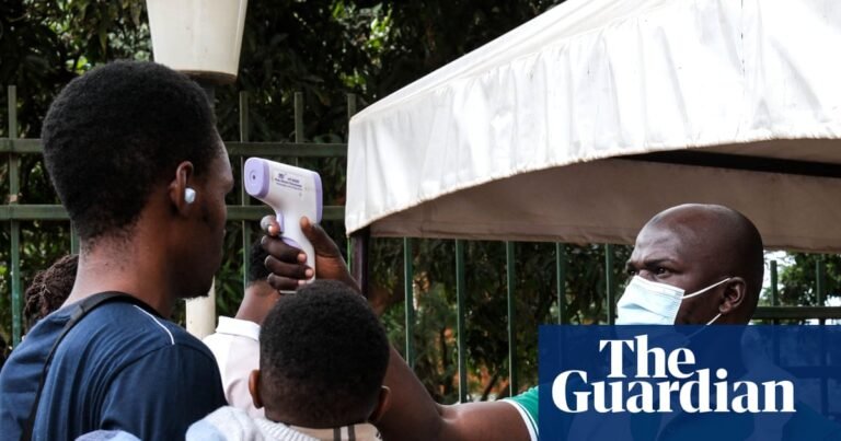 Infectious diseases such as hantavirus and Ebola becoming more frequent and damaging, say experts | Global health