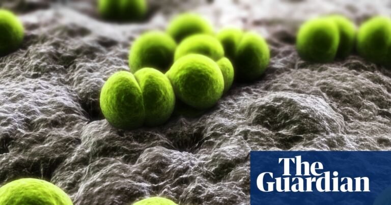 One dead and two more ill after meningitis outbreak in Berkshire | Meningitis One dead and two more ill after meningitis outbreak in Berkshire | Meningitis