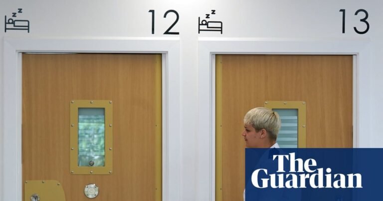 One in three HR leaders face opposition to inclusion schemes, study finds | Prisons and probation