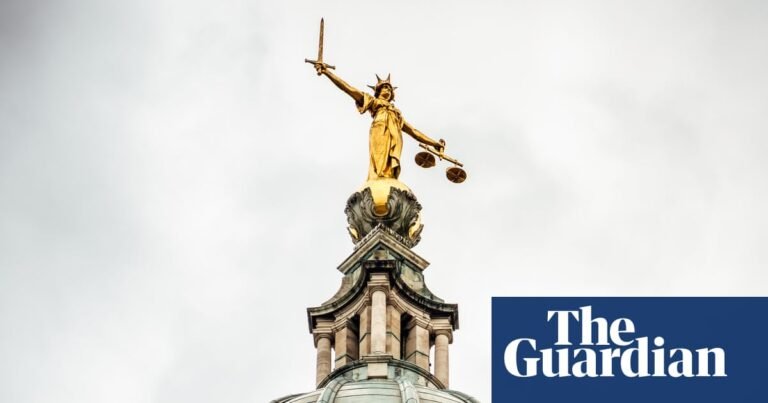Palestine Action trial lawyer wins appeal against contempt of court charge | Law