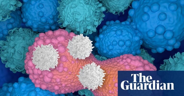 The emerging cancer treatment that’s exciting scientists: ‘We’ve just scratched the surface on what’s possible’ | Cancer The emerging cancer treatment that’s exciting scientists: ‘We’ve just scratched the surface on what’s possible’ | Cancer