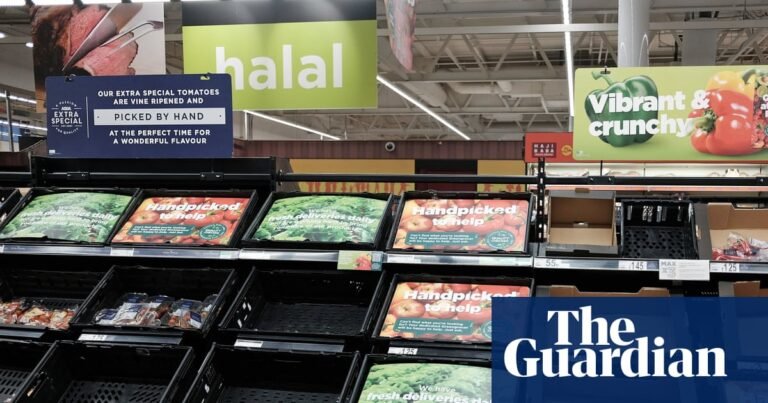 UK supply chain unprepared for major shocks such as war, report warns | Defence policy UK supply chain unprepared for major shocks such as war, report warns | Defence policy