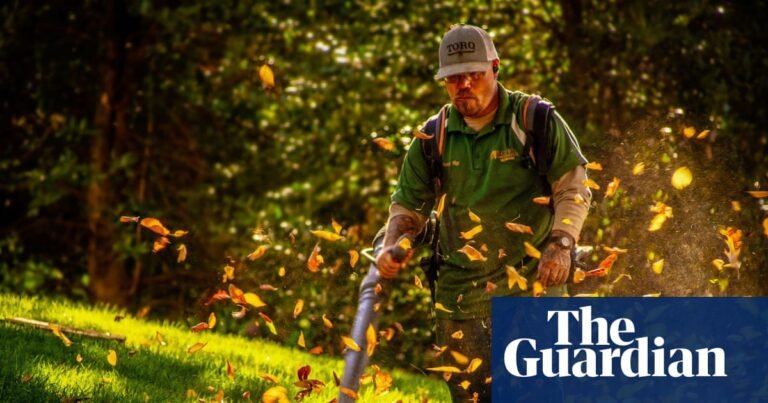 Add leaf blowers to the list of antisocial garden tools | Gardens Add leaf blowers to the list of antisocial garden tools | Gardens
