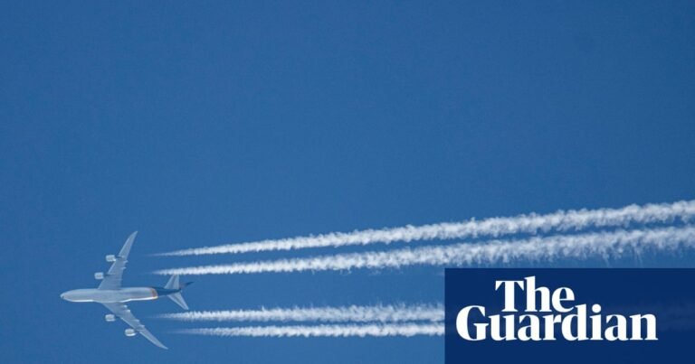 Airline industry chiefs say 2050 net zero goal now unlikely | Airline emissions Airline industry chiefs say 2050 net zero goal now unlikely | Airline emissions