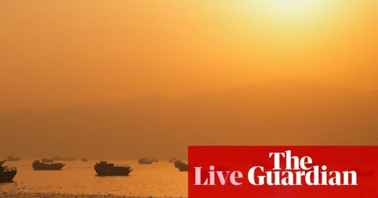 Brent crude falls to three-month low below $80 as Iranian oil tankers ‘resume shipping’ – as it happened | Business