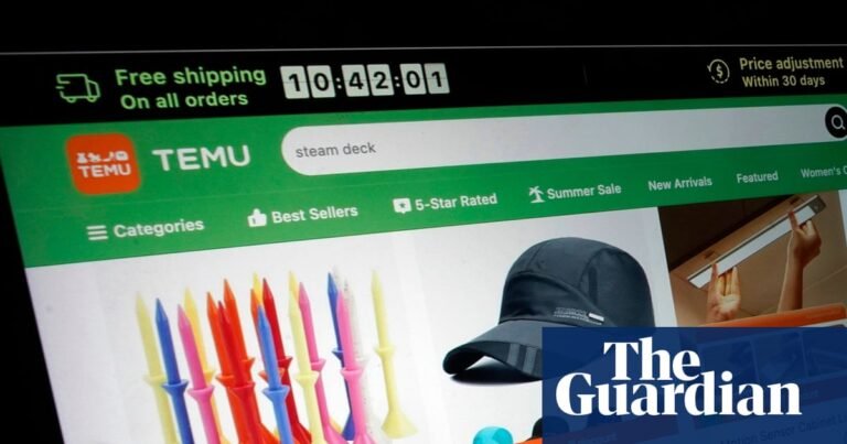 EU introduces €3 customs charge on small parcels to curb cheap Chinese imports | International trade